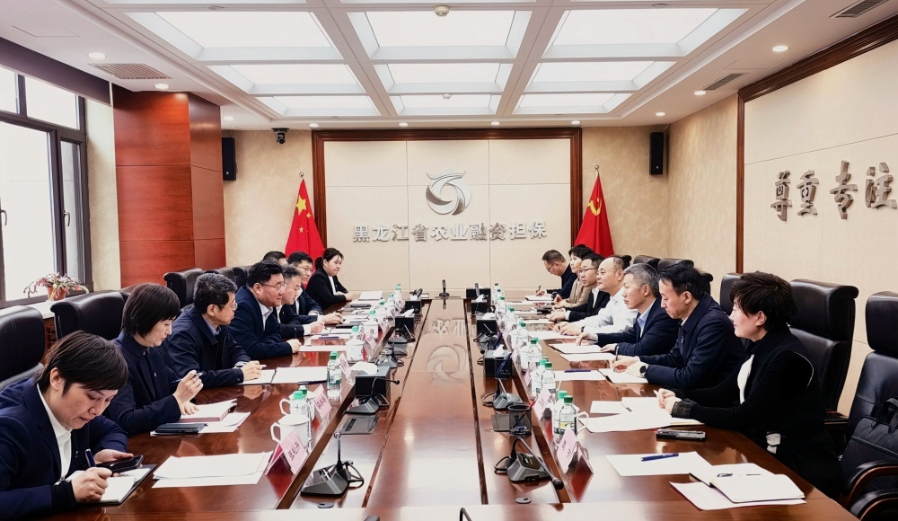 2024新澳门全年免费原料网