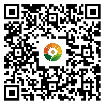 2024新澳门全年免费原料网