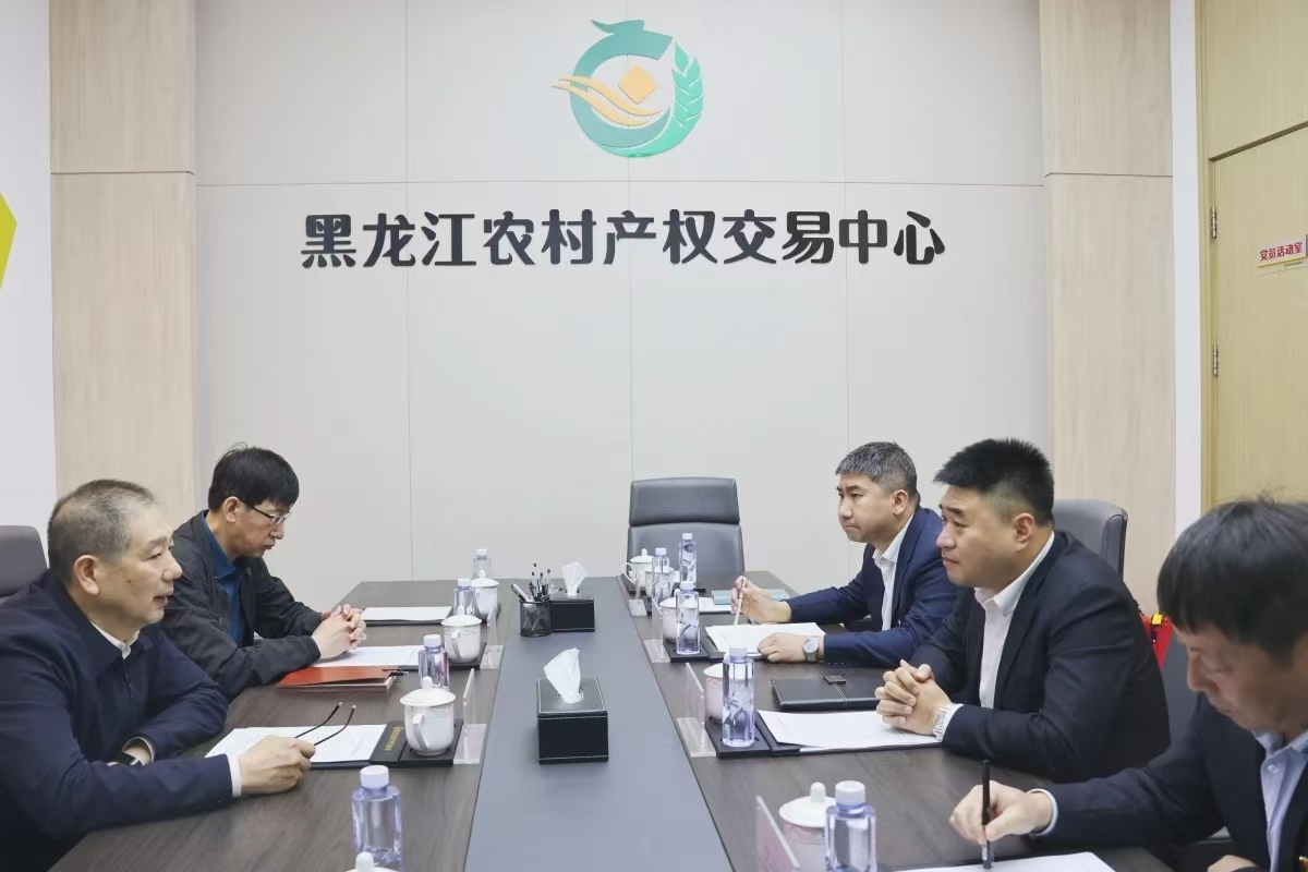 2024新澳门全年免费原料网