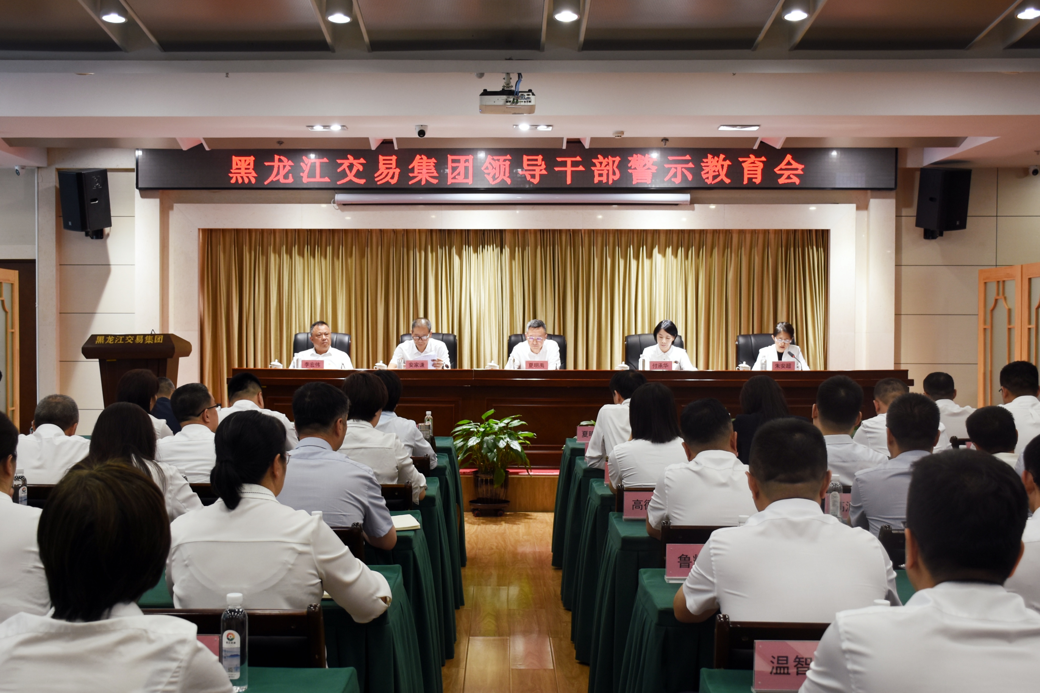 2024新澳门全年免费原料网